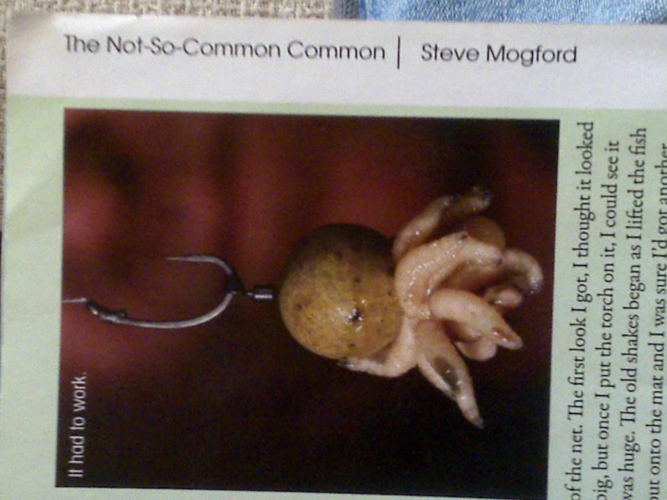 GARDNER - 546320107551356069336879609224n.jpg